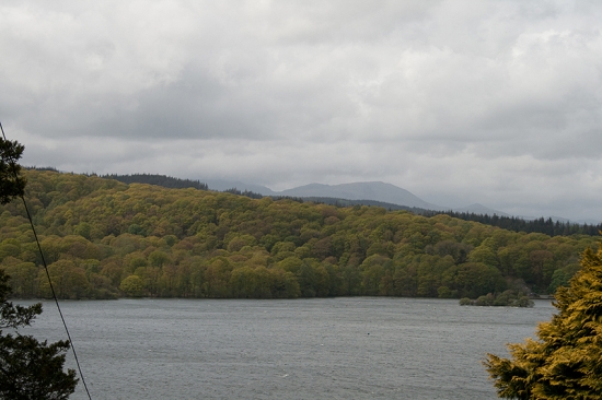 IMG_6582.jpg